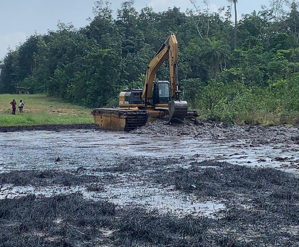 Soil Remediation